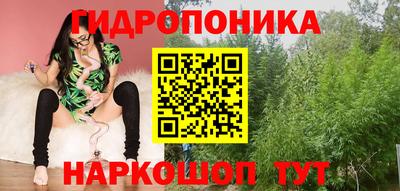 эйфоретик Кингисепп