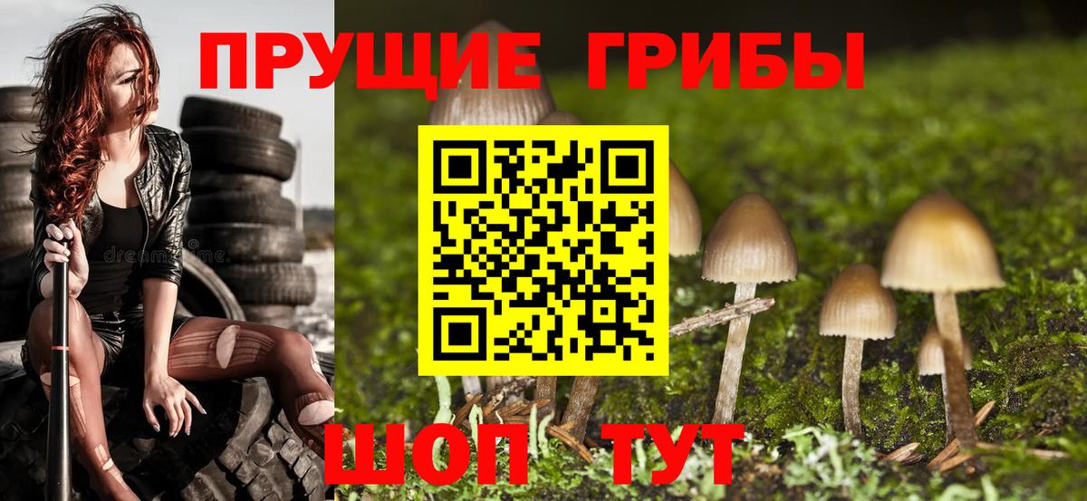 Псилоцибиновые грибы мицелий Барабинск