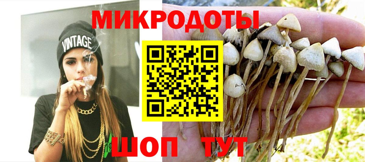 Галлюциногенные грибы прущие грибы  Вход с VPN  Барабинск  Псилоцибиновые грибы мицелий 